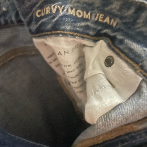 American Eagle Outfitters Curvy Mom Jean 10R - Picture 2 of 4